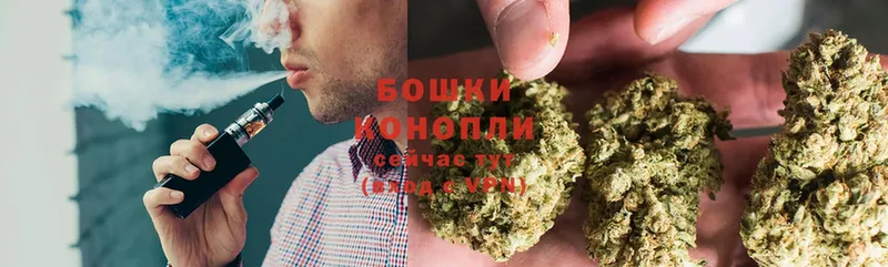 Бошки Шишки OG Kush  дарнет шоп  Приморско-Ахтарск 